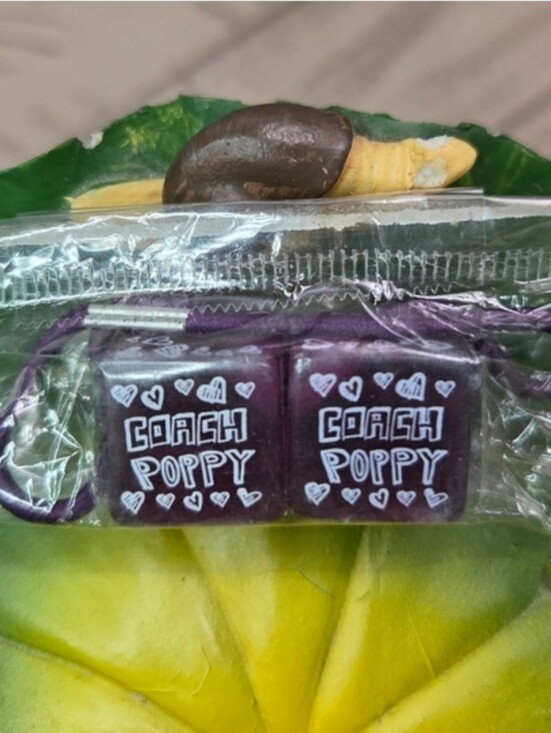 Coach Accessories - Coach Poppy !¡RARE¡! Hair Cubes (Hair Tie), Purple NWOT